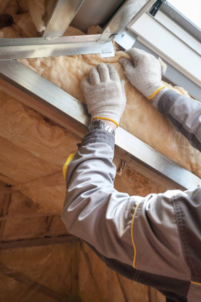 Best Insulation Removal  in Pleasant Hill, CA