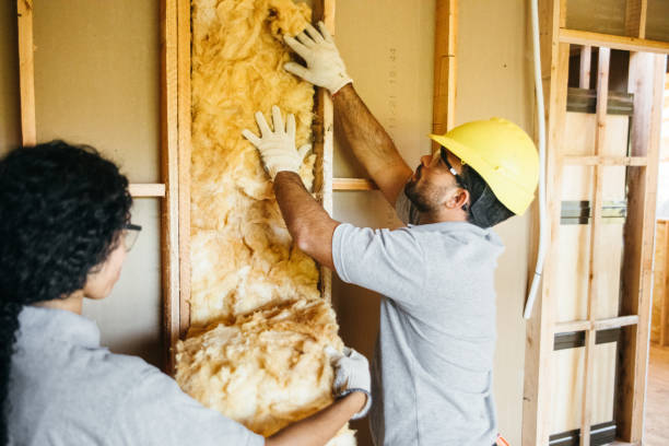 Insulation Inspection Services in Pleasant Hill, CA